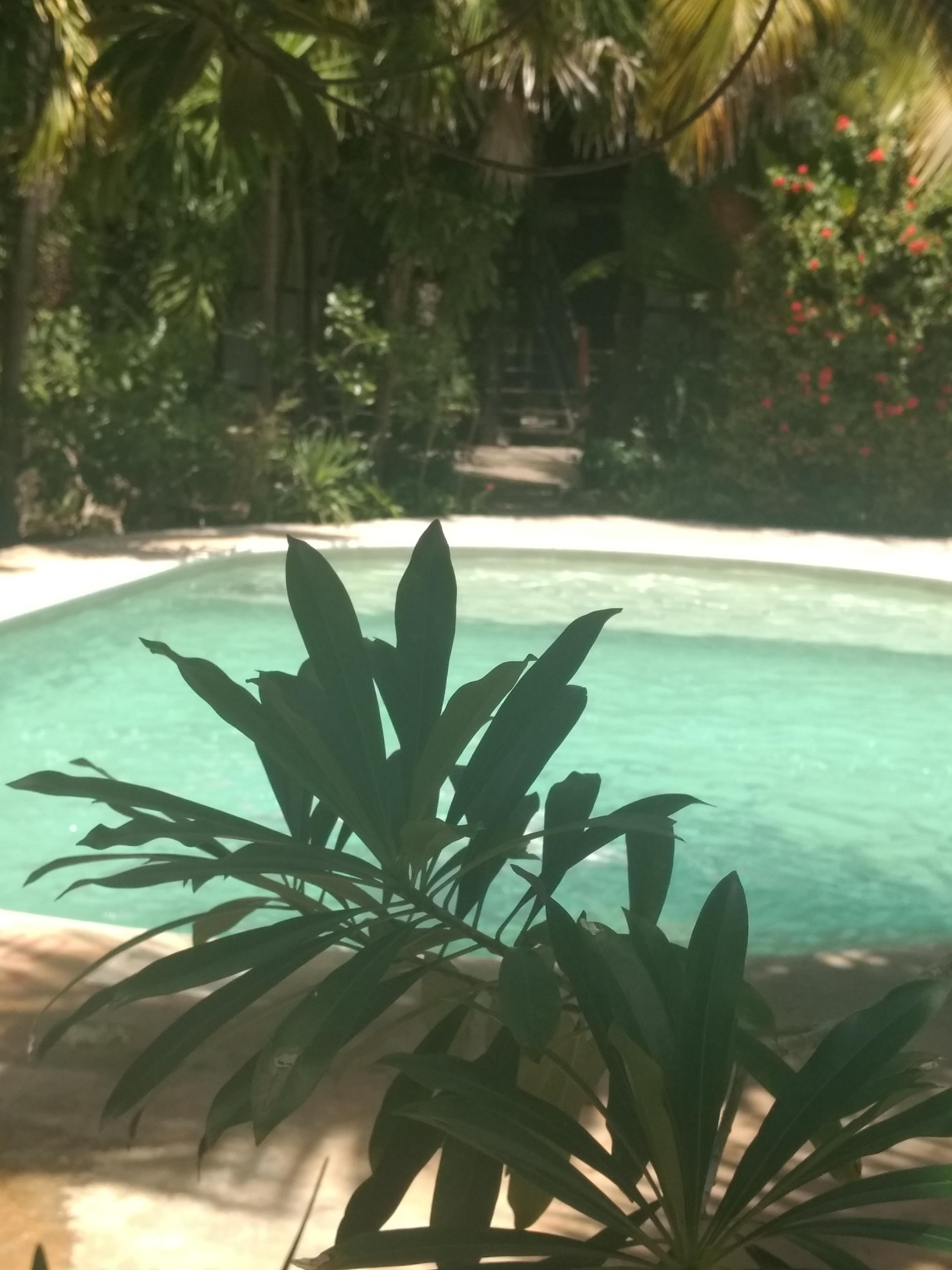 Green Tulum Cabanas & Gardens Экстерьер фото
